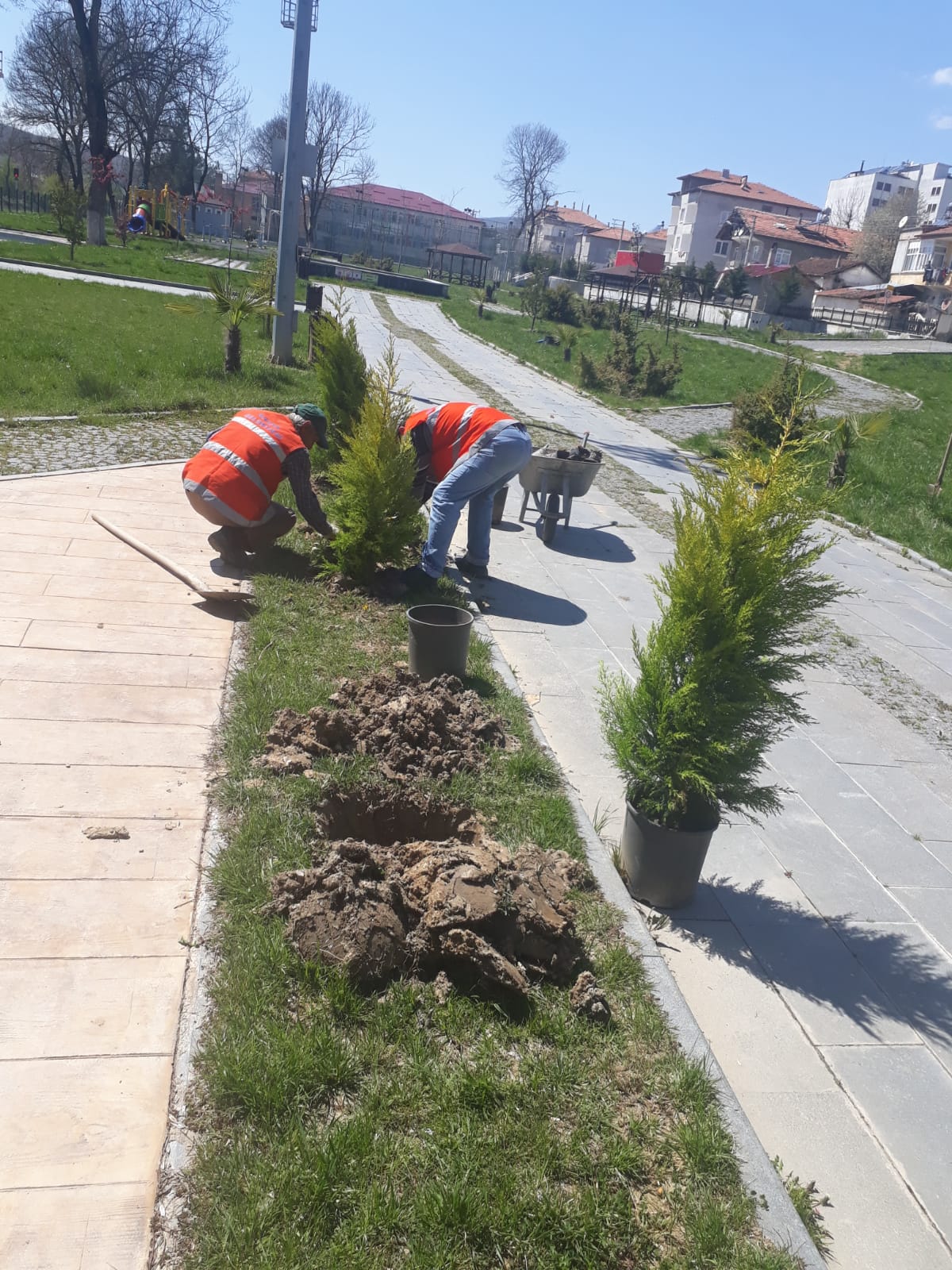Korona virüs parklara iyi geldi